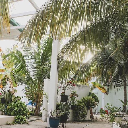 Fiyala Homestay Addu Atoll Kültér fotó