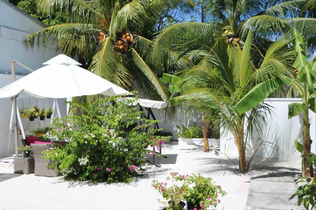 Fiyala Homestay Addu Atoll Kültér fotó