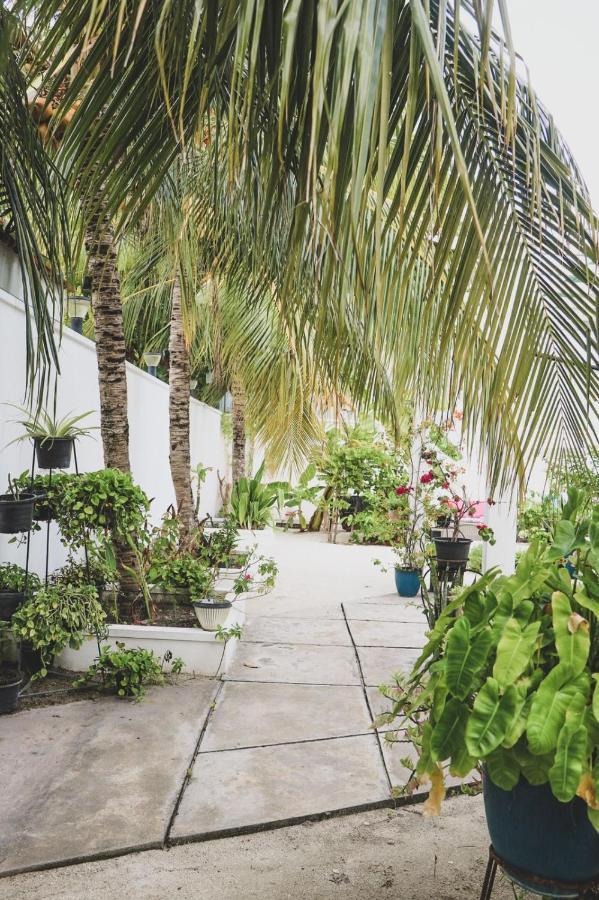 Fiyala Homestay Addu Atoll Kültér fotó