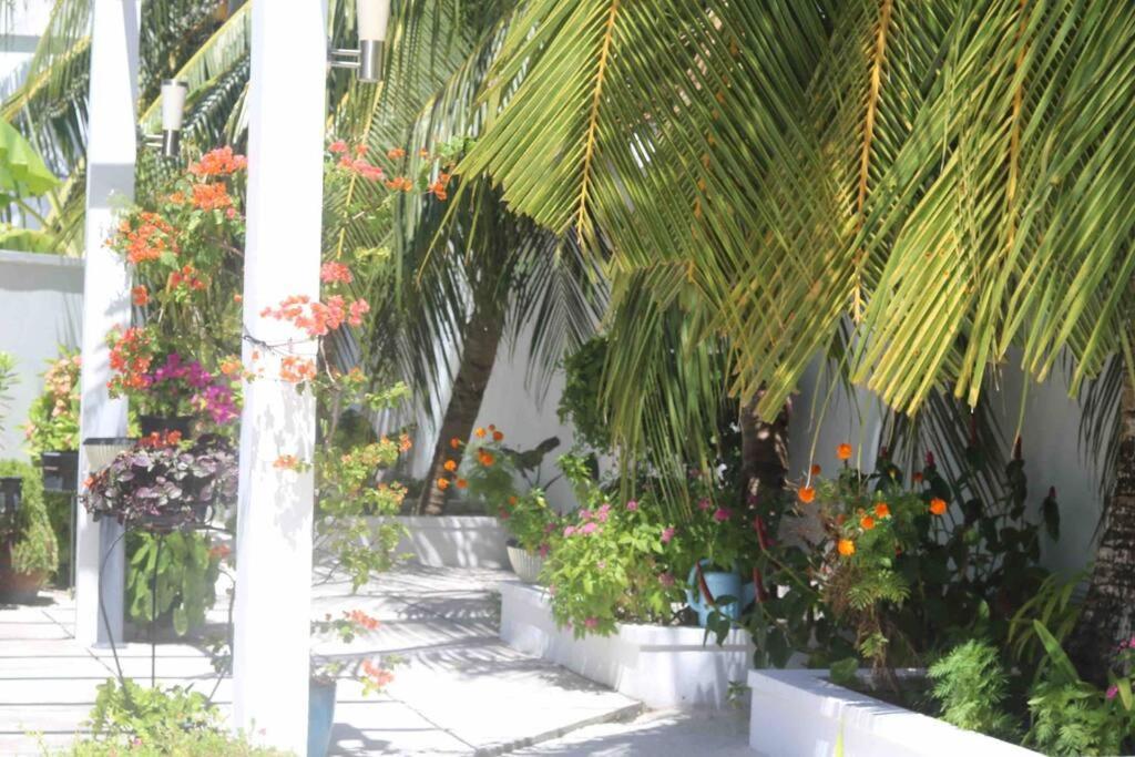 Fiyala Homestay Addu Atoll Kültér fotó