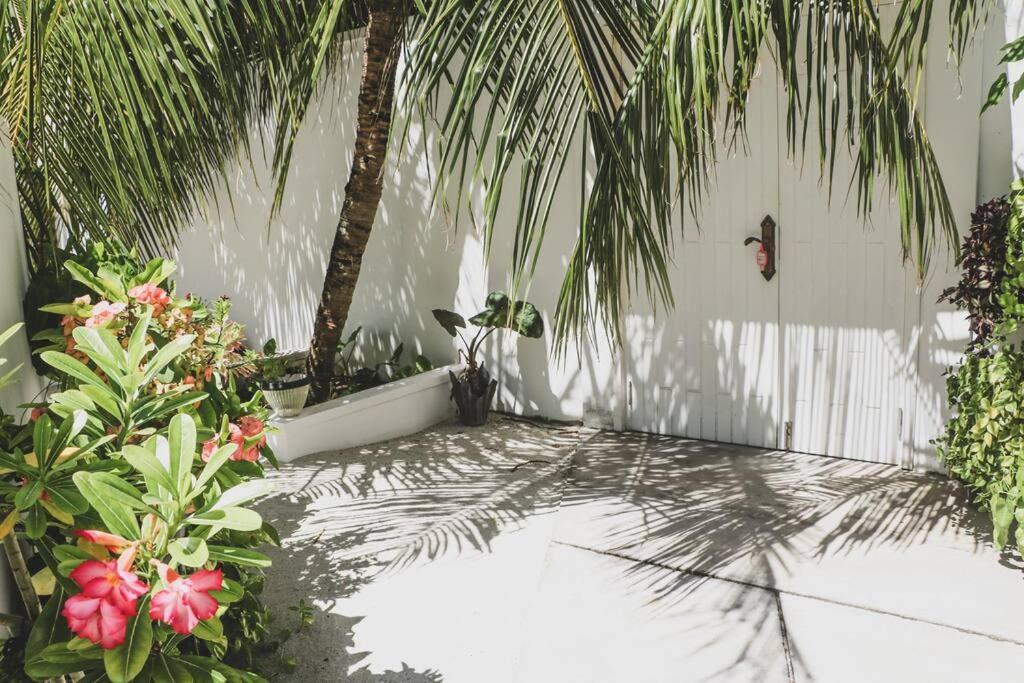 Fiyala Homestay Addu Atoll Kültér fotó